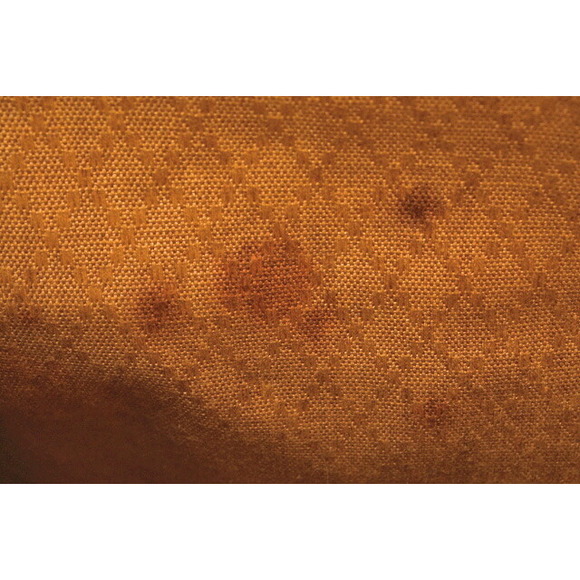 Gucci Rucksack Bamboo Brown - Picture 14 of 15